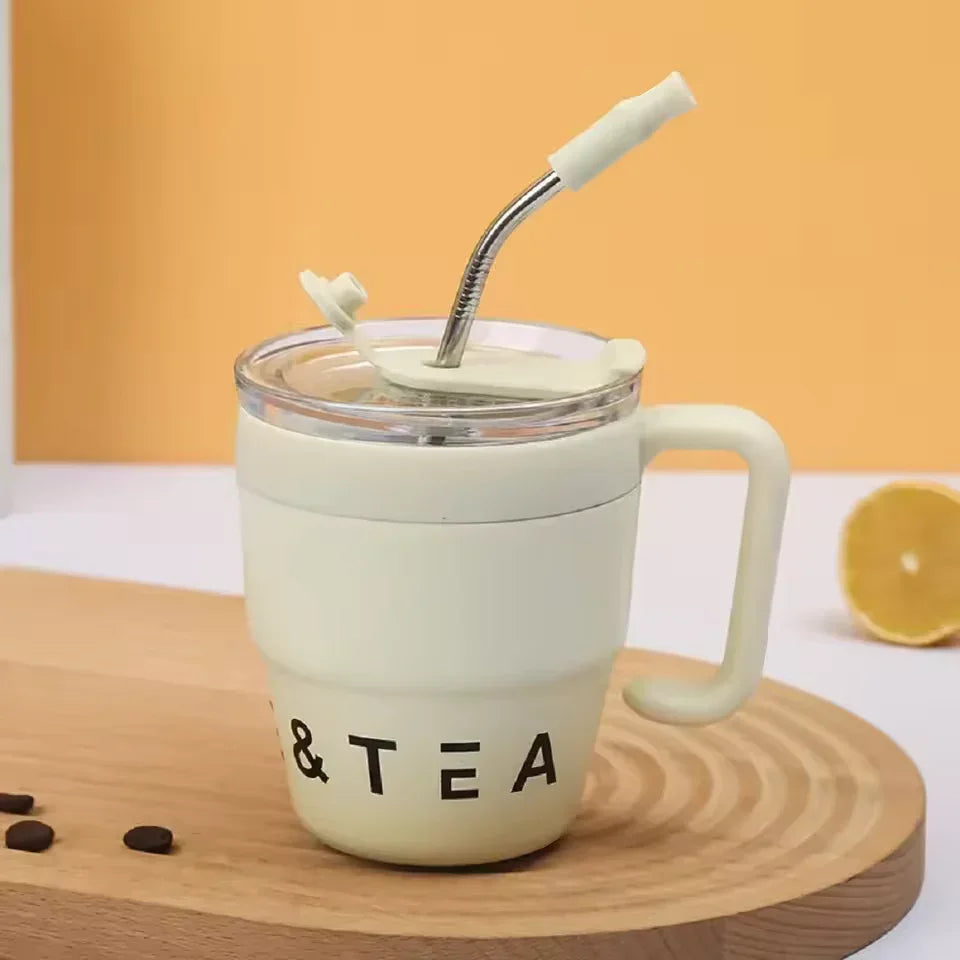 Stainless Steel Straw Lid Bottle 480ml – Hot & Cold Thermos (Random Color)