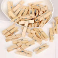 Mini Wooden Craft Clips for Garments & Crafts