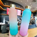 Gradient Color Outdoor Water Cup – Durable & Stylish