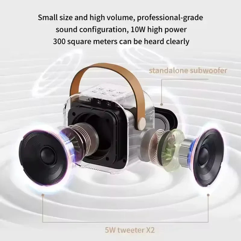 Portable Speaker with Wireless Microphones