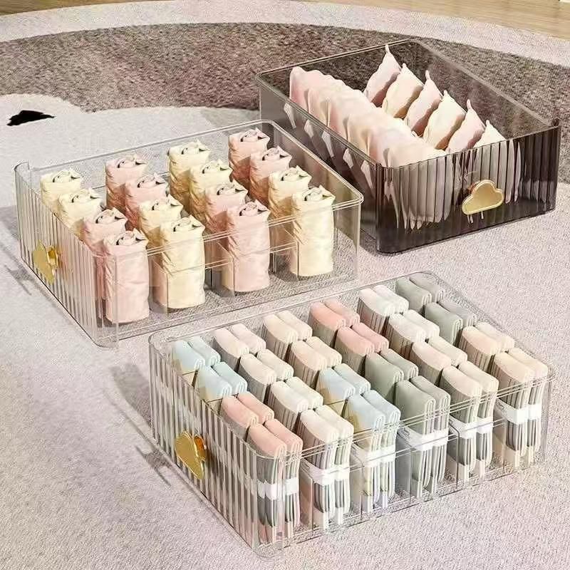 Closet Underwear Organizer Tray & Drawer Dividers