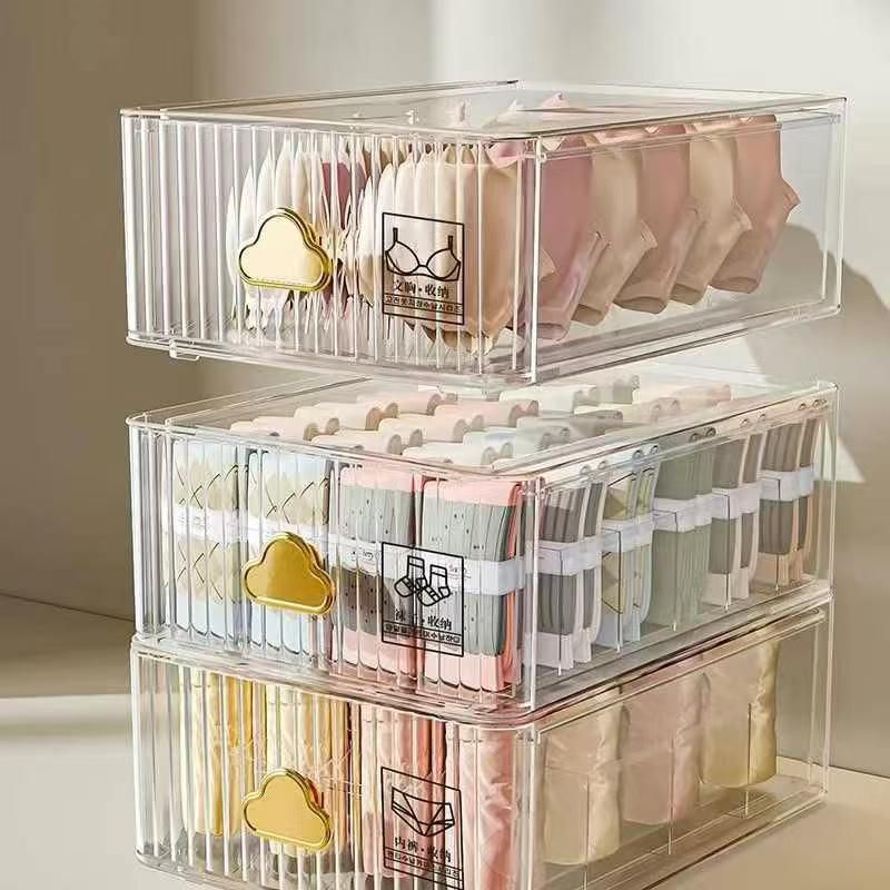 Closet Underwear Organizer Tray & Drawer Dividers