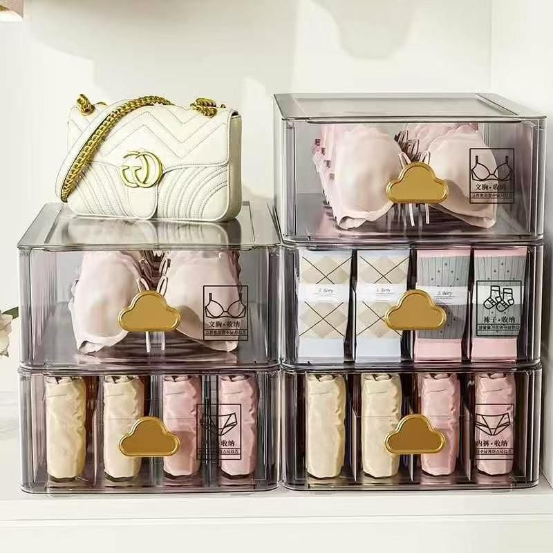 Closet Underwear Organizer Tray & Drawer Dividers