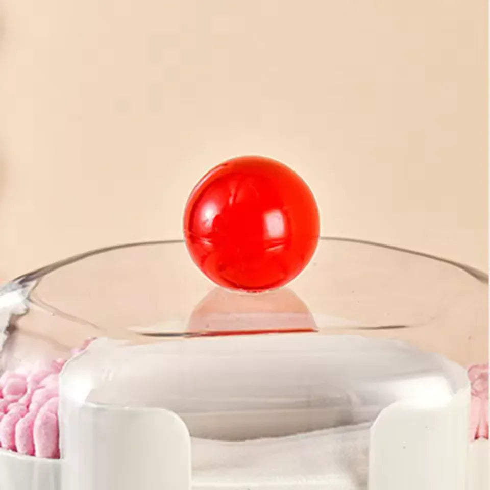 2 in 1 Qtip Holder with Cotton Pad Organizer